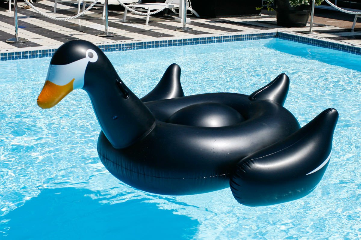 SunfloatsBlack Swan Pool Float